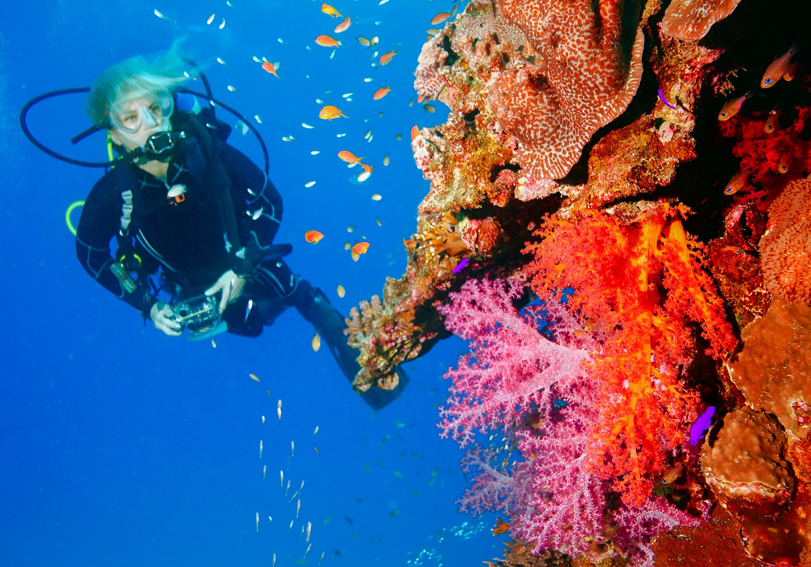 Scuba Diving